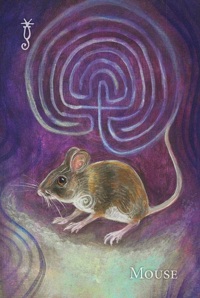 Witch's Ally Oracle; Connect to Your Animal Familiars
