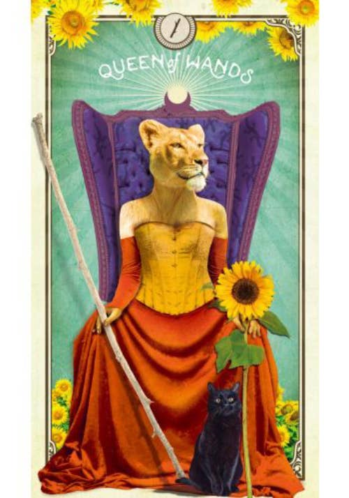 Tarot Of Curious Creatures