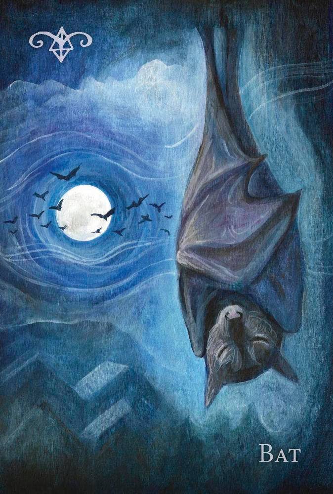 Witch's Ally Oracle; Connect to Your Animal Familiars