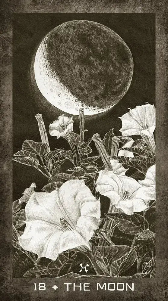 New Era Elements Tarot