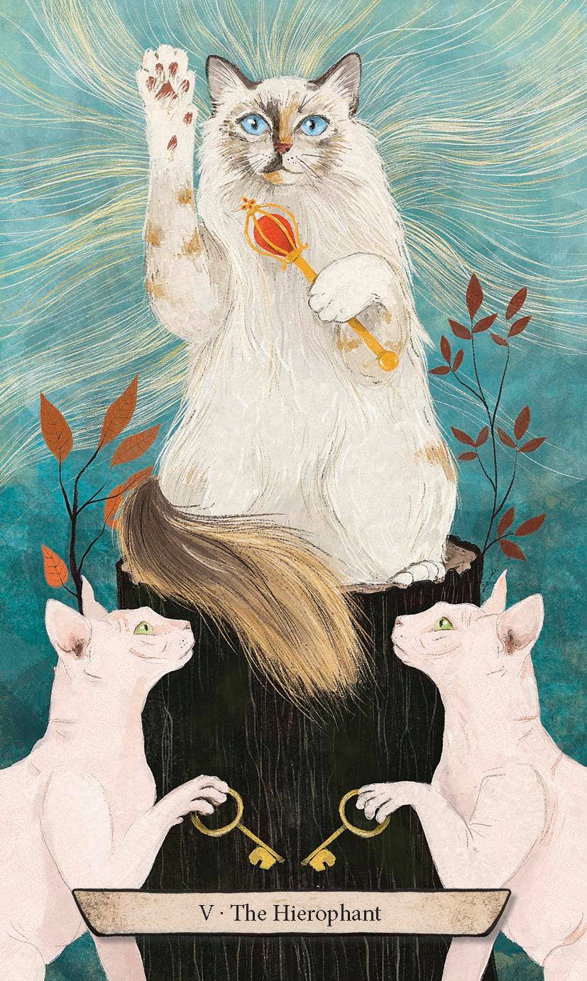 Enchanted Forest Felines Tarot: A RWS-Style Cat Tarot Kit