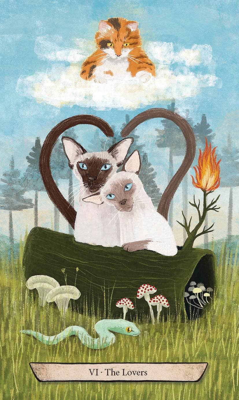 Enchanted Forest Felines Tarot: A RWS-Style Cat Tarot Kit