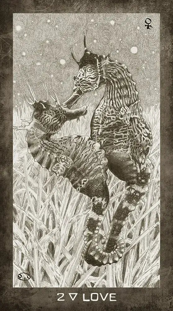 New Era Elements Tarot