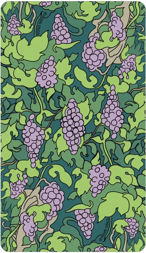 Florana Tarot