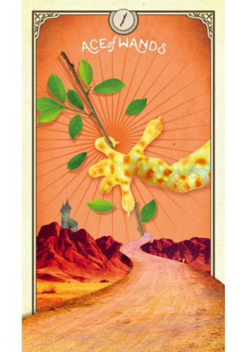 Tarot Of Curious Creatures