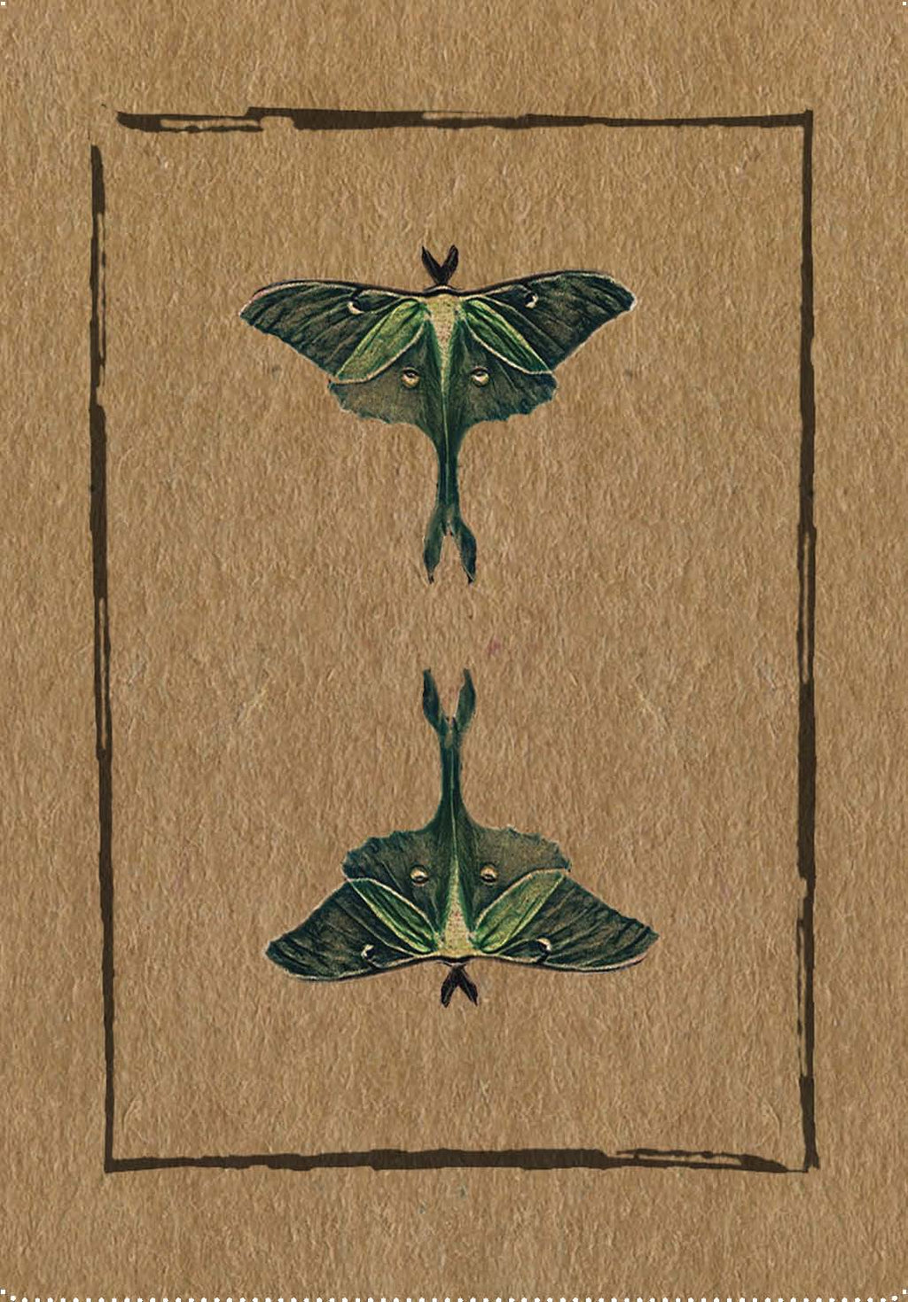 Conjure Cards: Fortune-Telling Card Deck and Guidebook