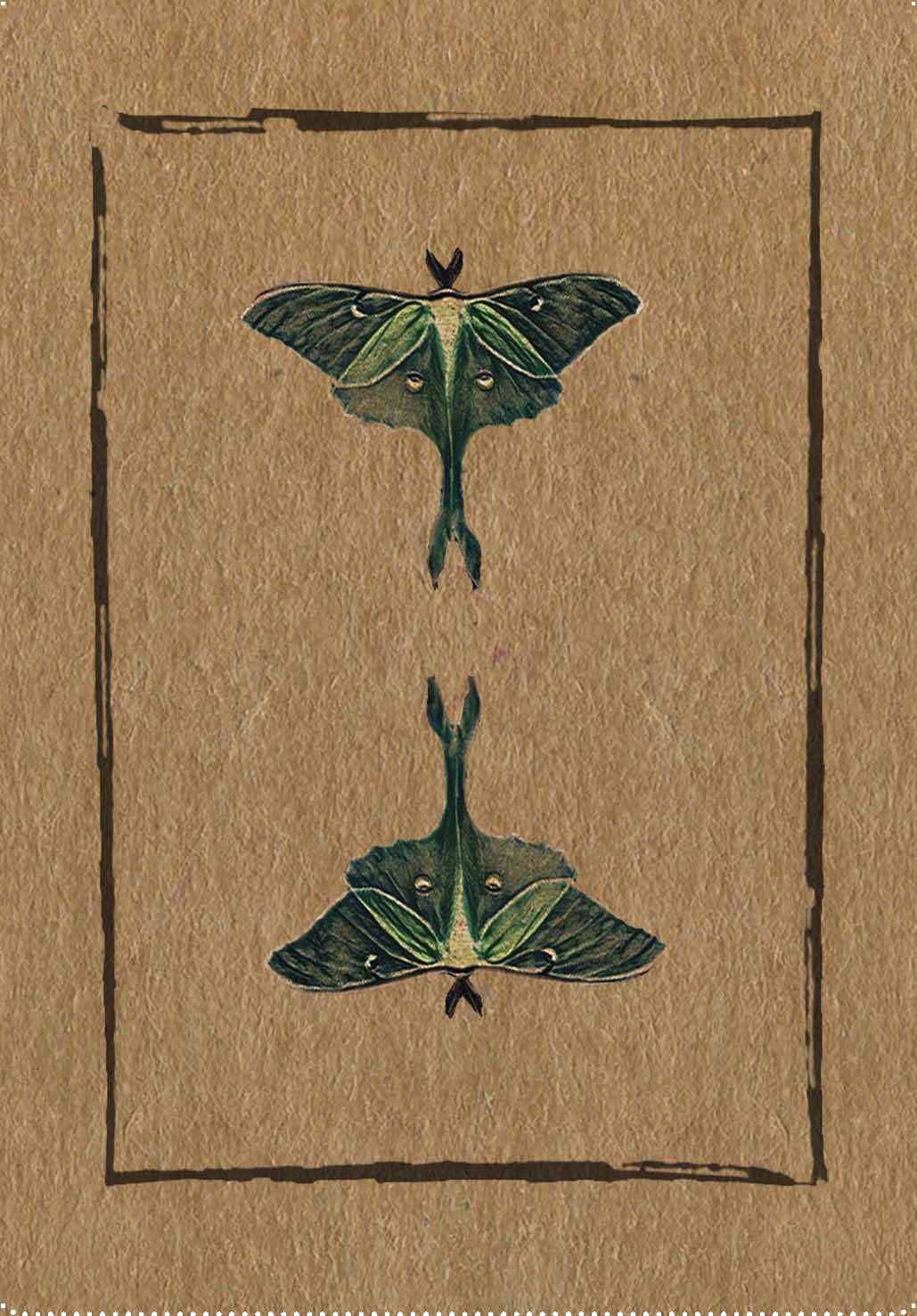 Conjure Cards: Fortune-Telling Card Deck and Guidebook
