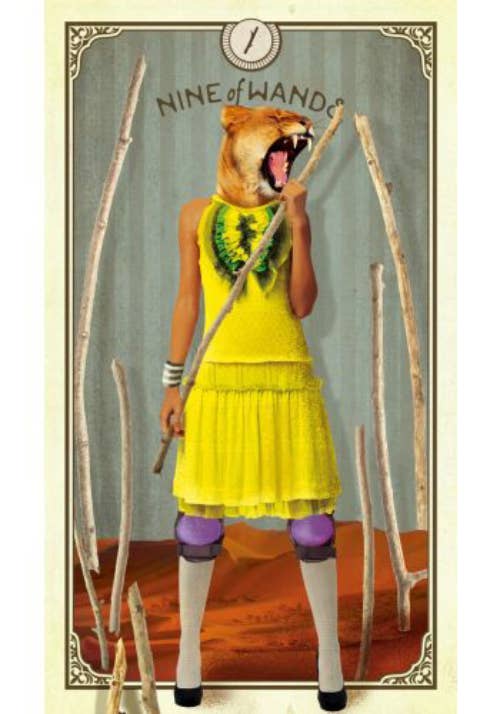 Tarot Of Curious Creatures