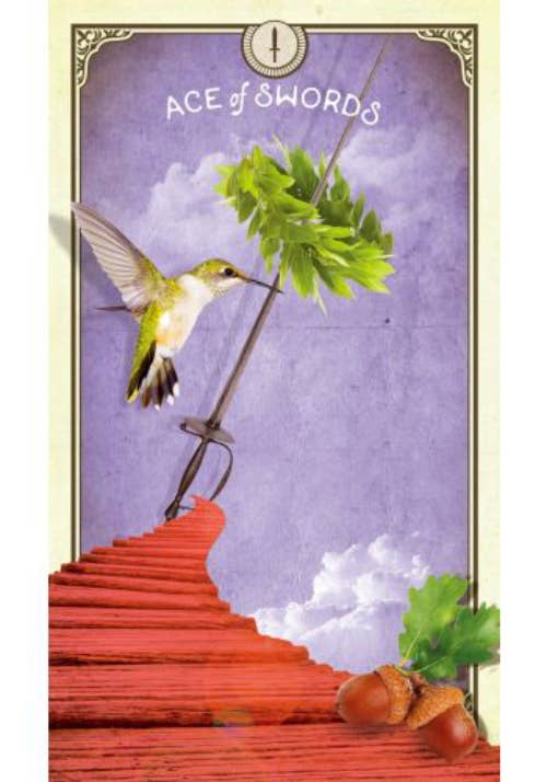 Tarot Of Curious Creatures