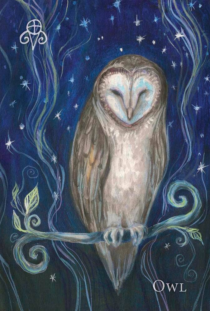 Witch's Ally Oracle; Connect to Your Animal Familiars
