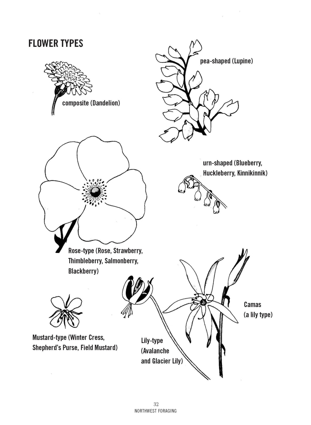 Northwest Foraging