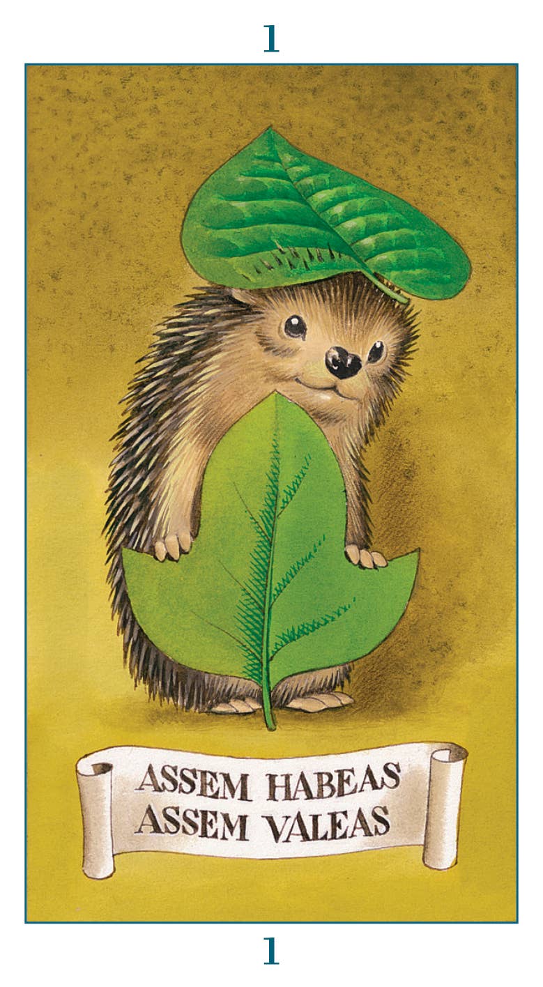 Fairy Tarot